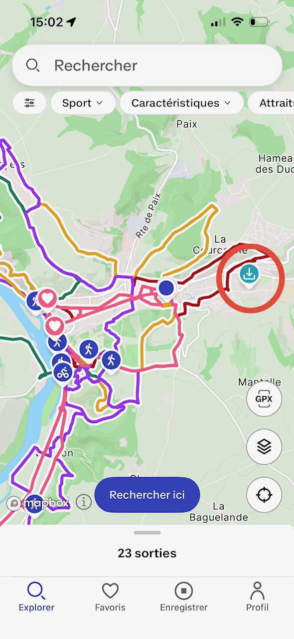 IMG_2940.jpeg